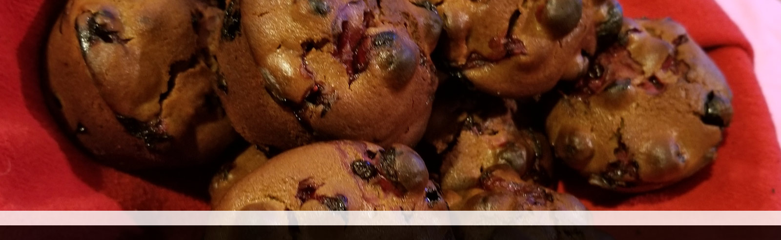 Cranberry Muffins